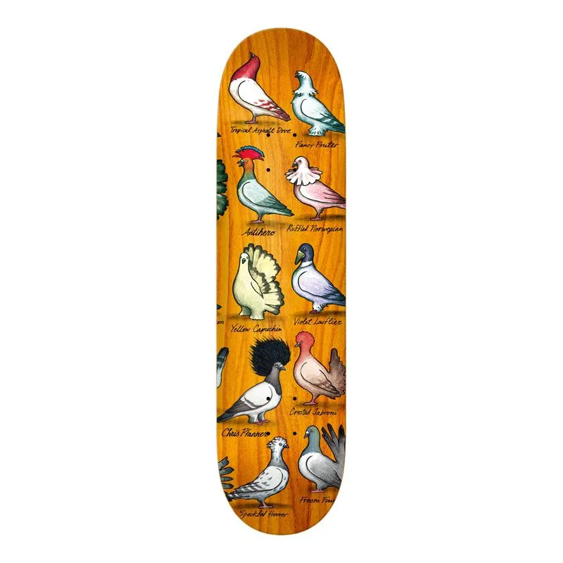 Antihero Pfanner Show Pigeons Deck 8.06
